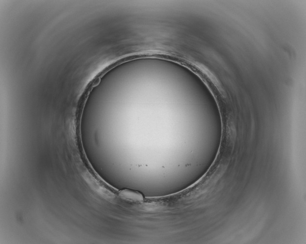 X0000110961460200906261331