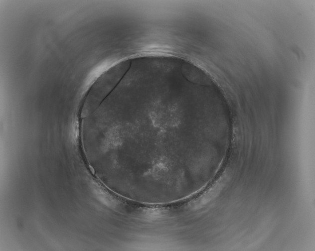 X0000110961461200906261331