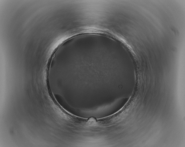X0000110961463200906261331