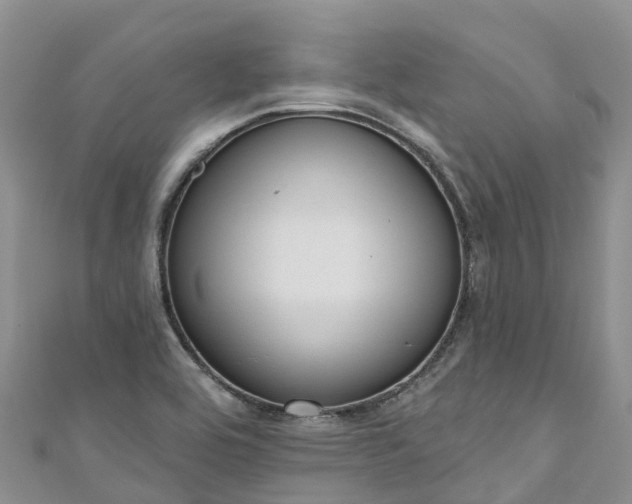 X0000110961464200906261331