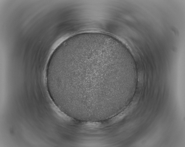 X0000110961466200906261331