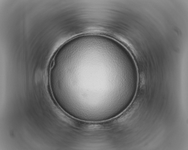 X0000110961467200906261331