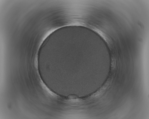 X0000110961468200906261331