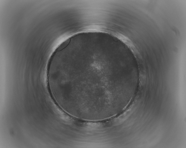 X0000110961469200906261331