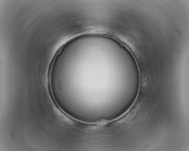 X0000110961471200906261331