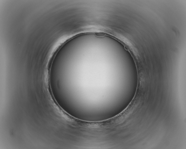 X0000110961472200906261331
