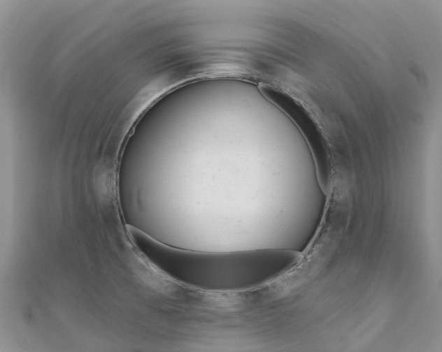 X0000110961473200906261331