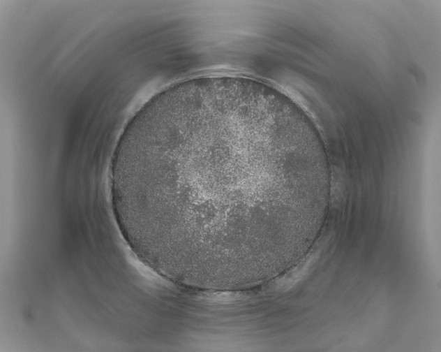 X0000110961474200906261331