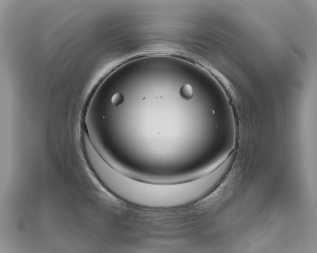 X0000110961477200906261331