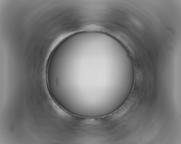 X0000110961478200906261331