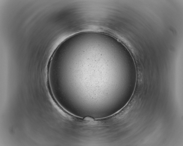 X0000110961479200906261331