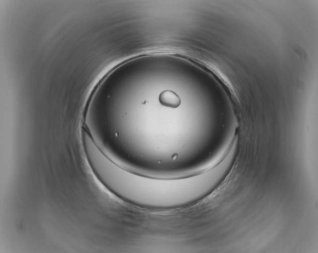 X0000110961484200906261331