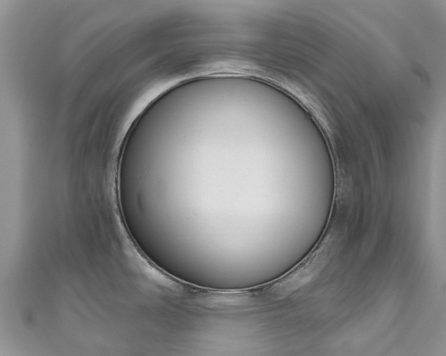 X0000110961486200906261331