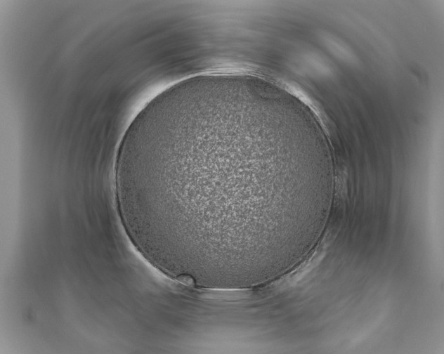 X0000110961487200906261331