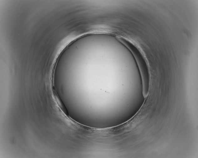 X0000110961488200906261331
