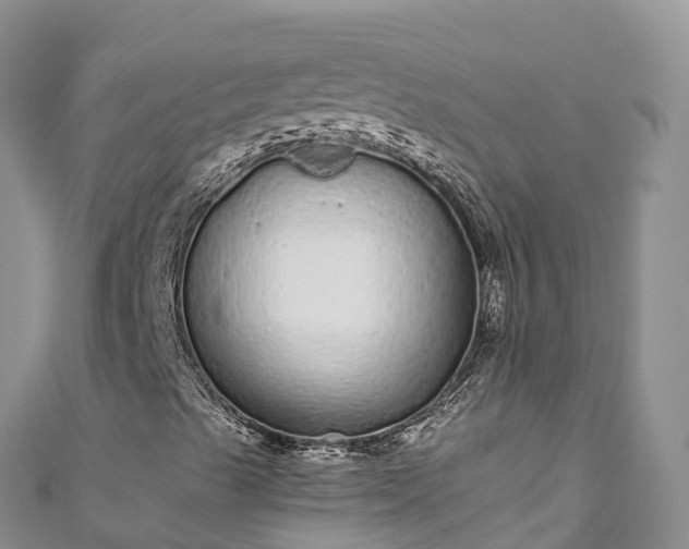 X0000110961489200906261330
