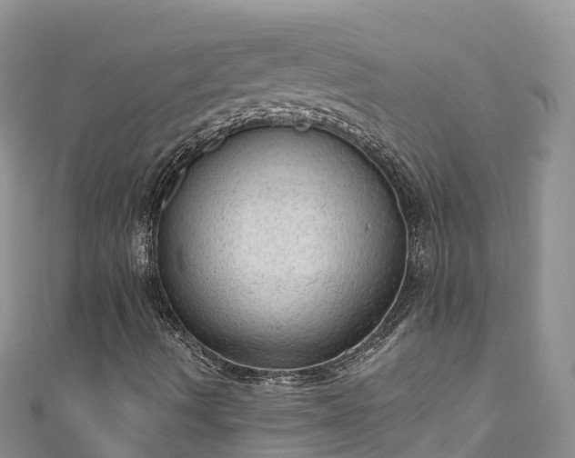 X0000110961490200906261330