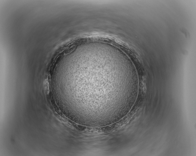 X0000110961493200906261330