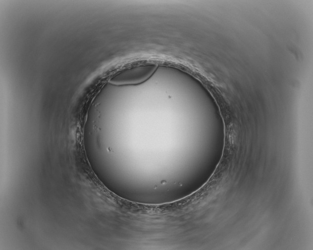X0000110961495200906261330
