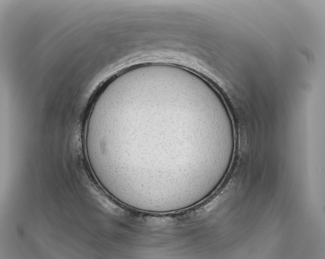 X0000110961498200906261330