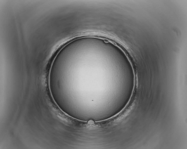 X0000110961501200906261330