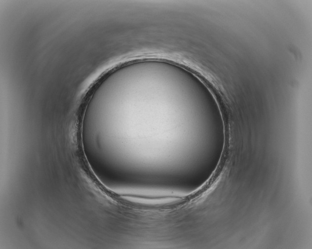 X0000110961502200906261330