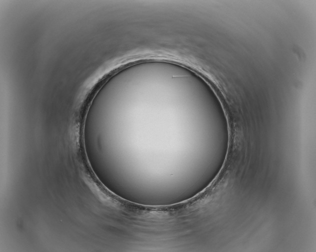 X0000110961503200906261330