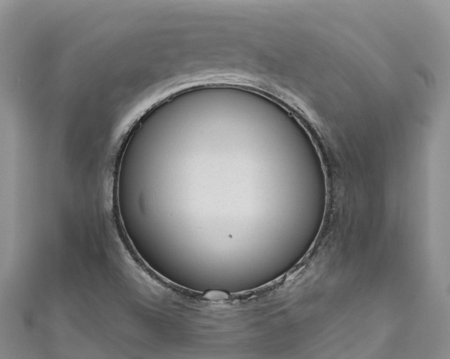 X0000110961504200906261330