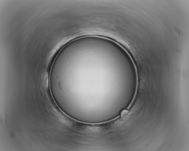X0000110961509200906261331