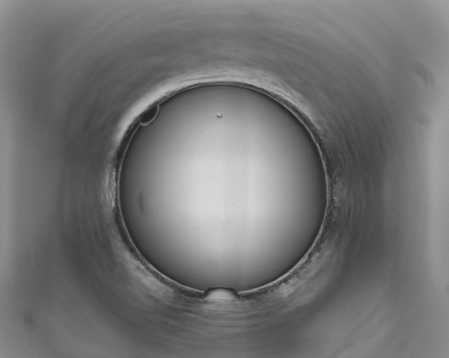 X0000110961510200906261331