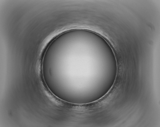 X0000110961511200906261331