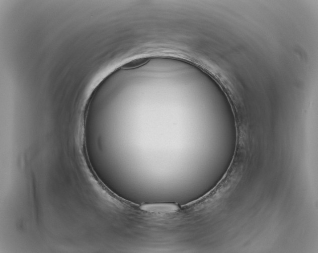 X0000110961520200906261331
