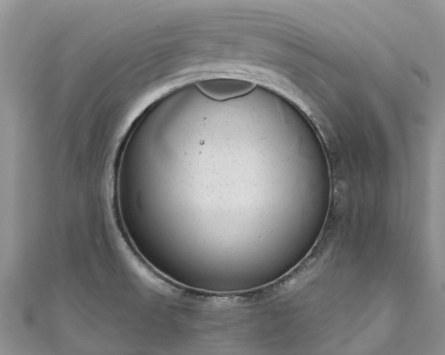 X0000110961523200906261331