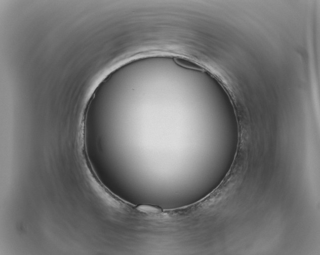 X0000110961524200906261331