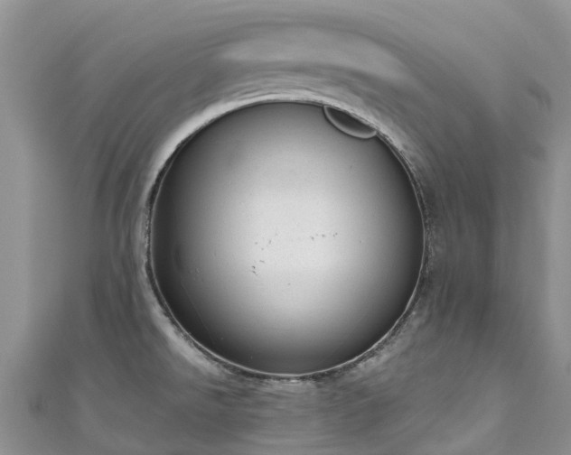 X0000110961526200906261331