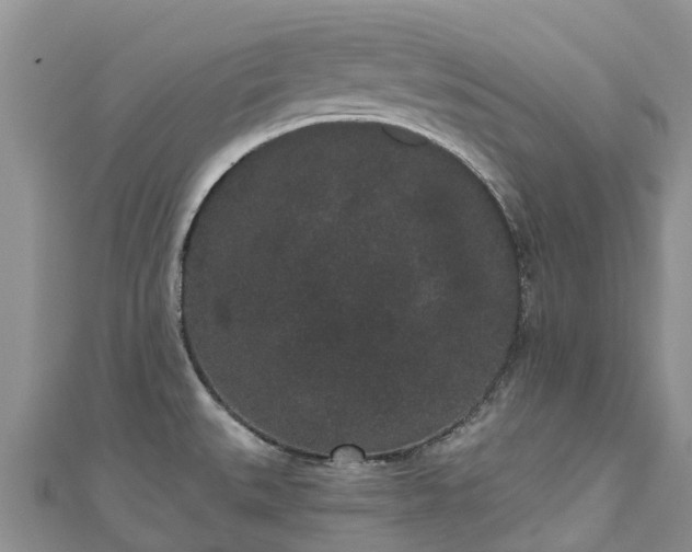 X0000110961527200906261331
