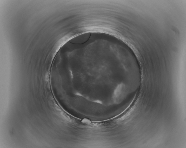 X0000110961529200906261331
