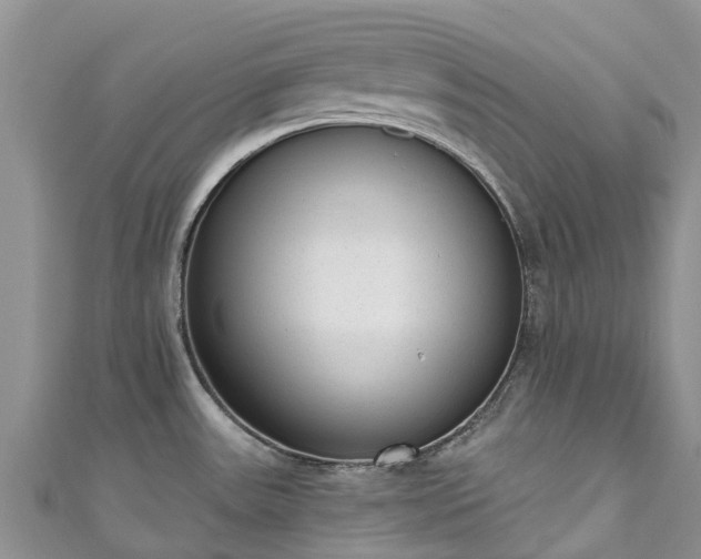 X0000110961531200906261331