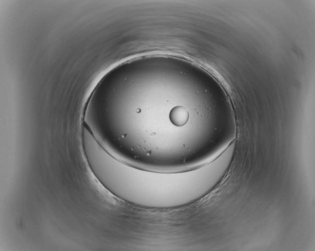 X0000110961532200906261331