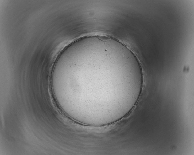 X0000110960001200907022232