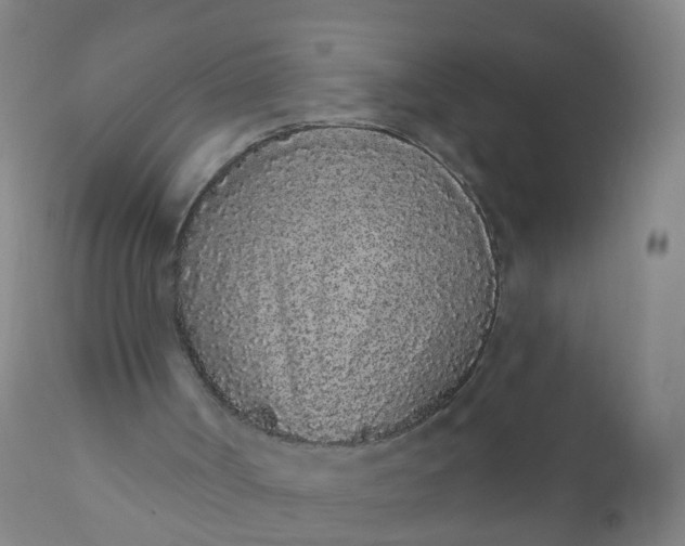 X0000110960002200907022232