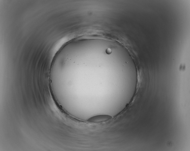 X0000110960003200907022232