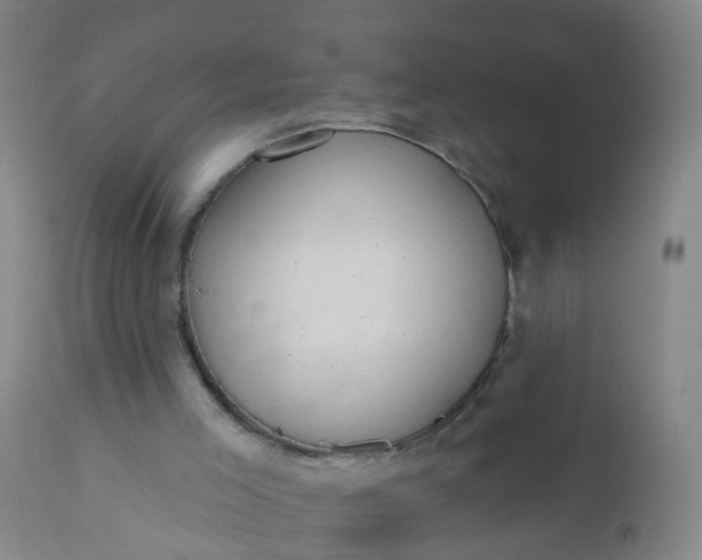 X0000110960005200907022232