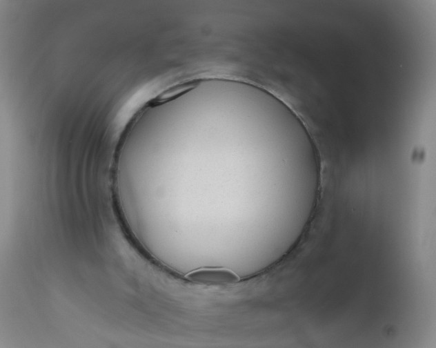 X0000110960007200907022232