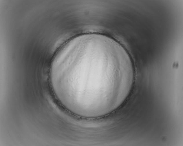 X0000110960010200907022232