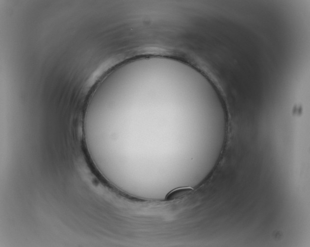 X0000110960011200907022232