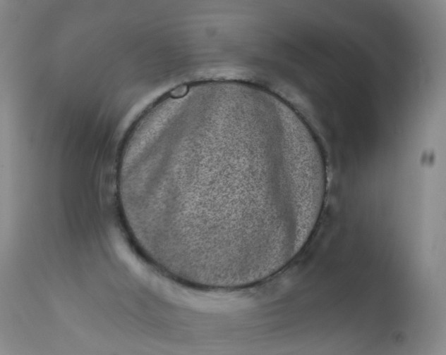 X0000110960012200907022232