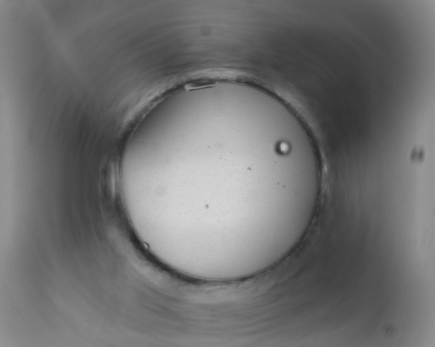 X0000110960013200907022232