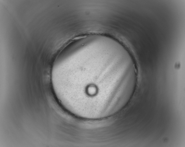 X0000110960017200907022232