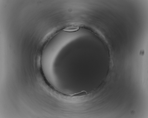 X0000110960019200907022232